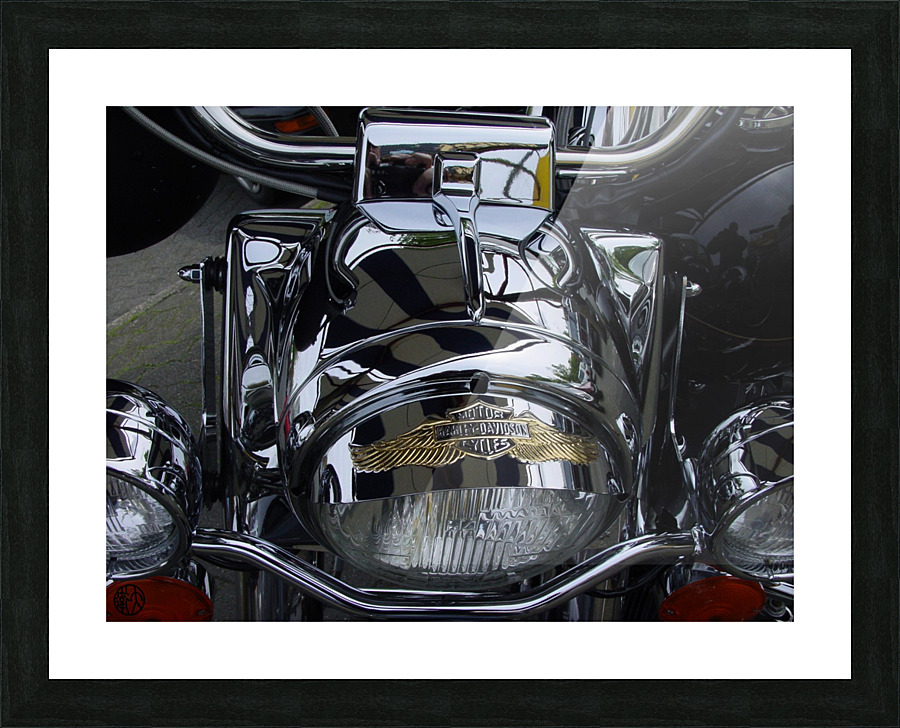 107   Hogging Attention Picture Frame print