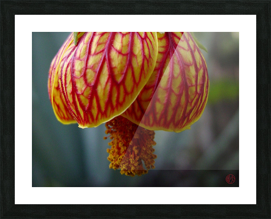 163   Sensuous Picture Frame print