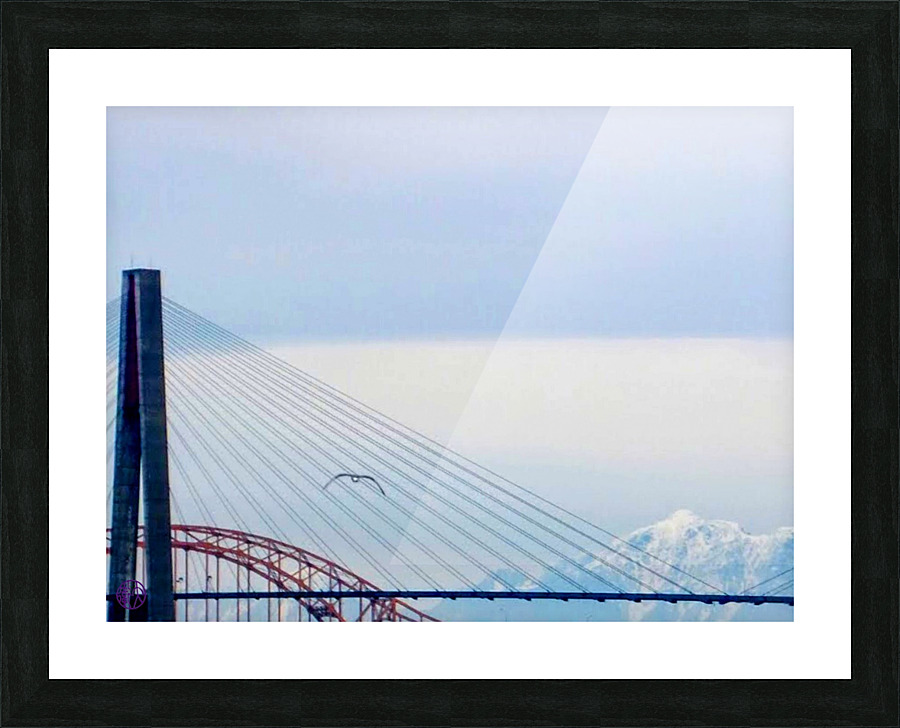 139   Free to Explore Picture Frame print