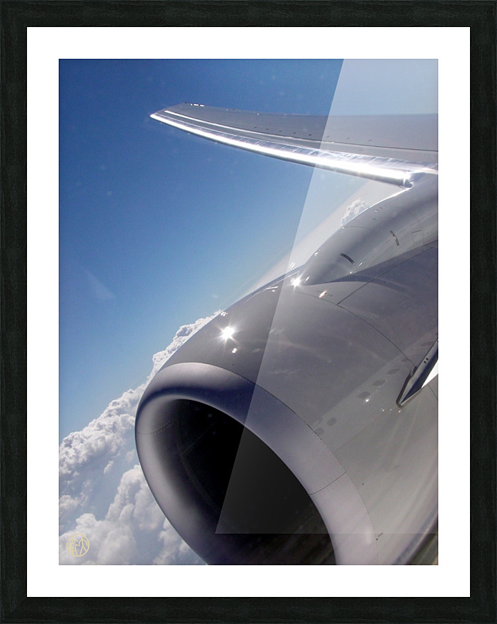 119   In Plane View Picture Frame print