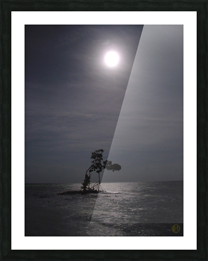  Tirage d’art