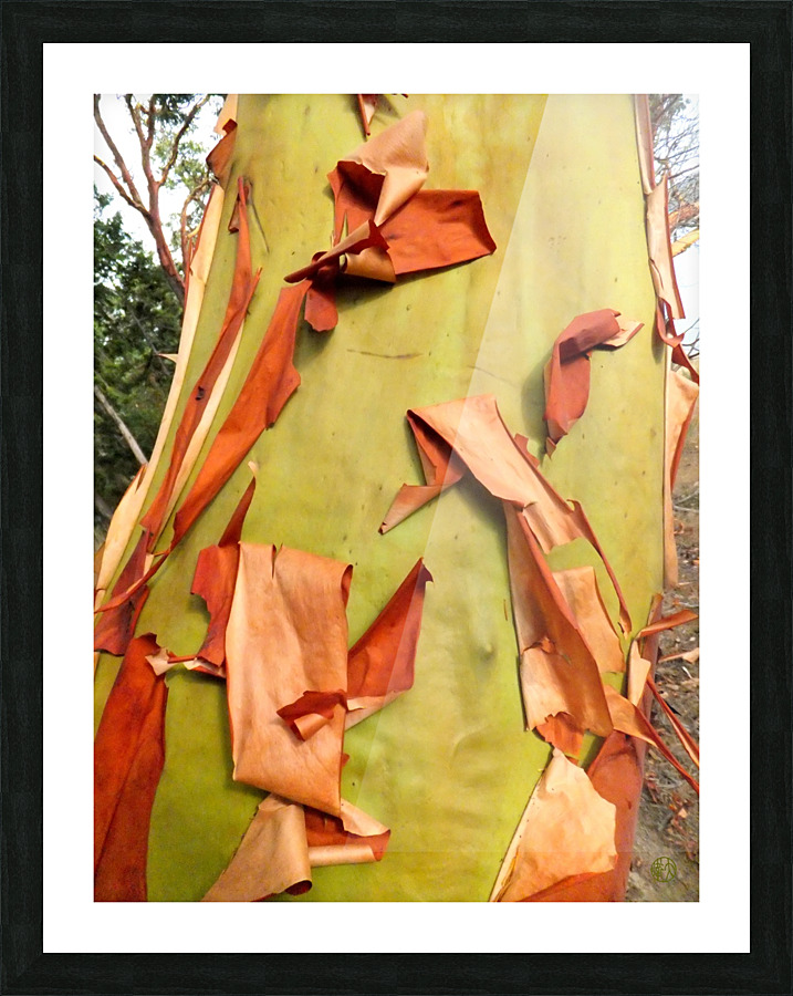  Tirage d’art
