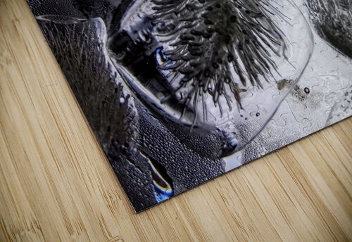 151    On the Rocks 4U2C puzzle