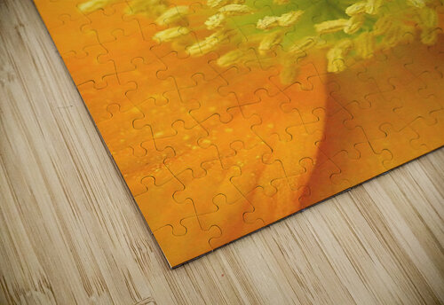 169    Elegance 4U2C puzzle