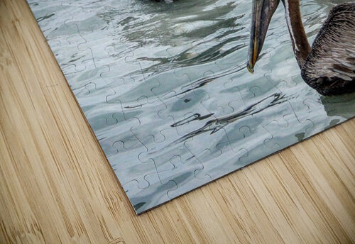 179   Pelicans 4U2C puzzle