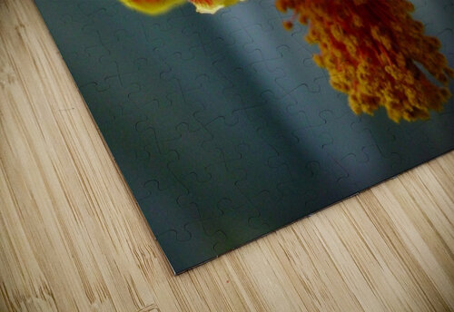 163   Sensuous 4U2C puzzle