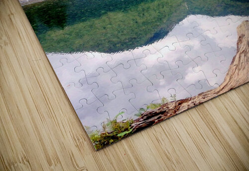 263     Natures Canvas 4U2C puzzle
