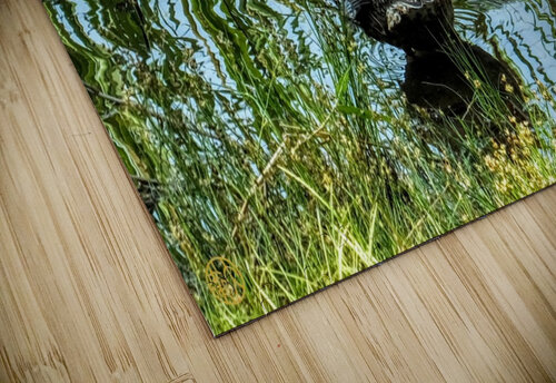 222 Mottled 4U2C puzzle
