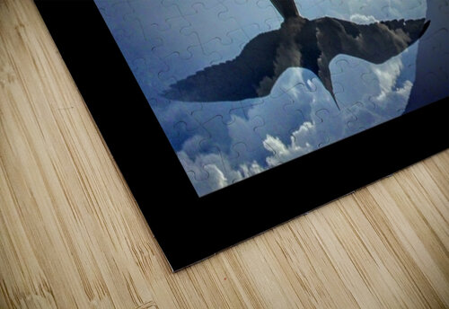 257    Flying High 4U2C puzzle