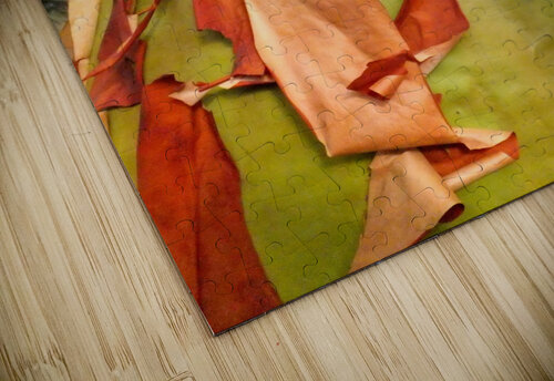 218    Arbutus 4U2C puzzle