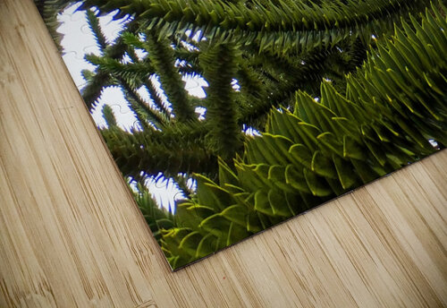 226 Monkey Tree detail 4U2C puzzle