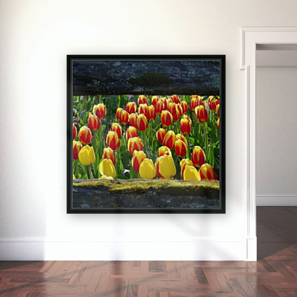 157   Tulips Reproduction