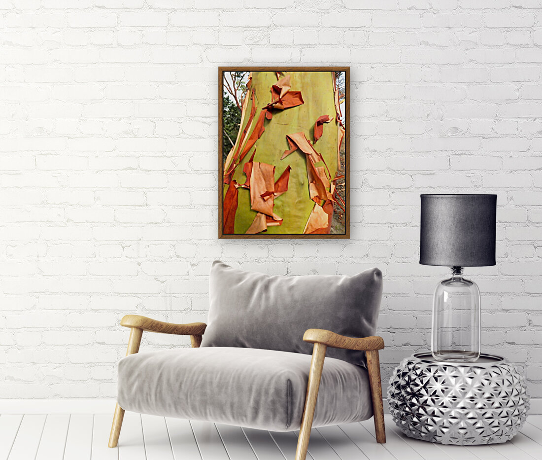 218    Arbutus Reproduction