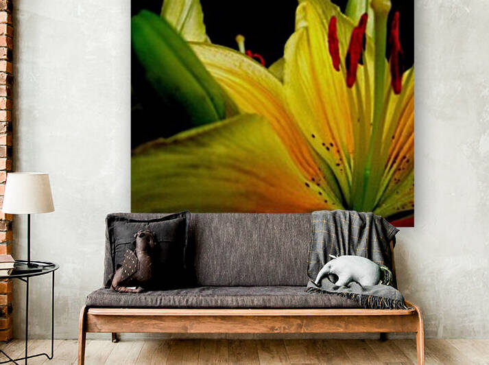 161    A flowers eye view Reproduction