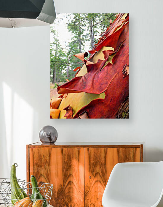 219    Arbutus Tree detail by 4U2C