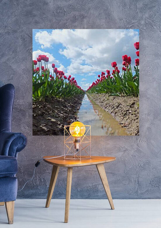 156    Tulip Field Reproduction