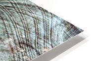 253    Reclining Buddha HD Metal print