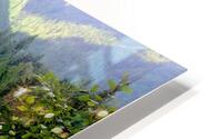 263     Natures Canvas HD Metal print