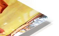 218    Arbutus HD Metal print