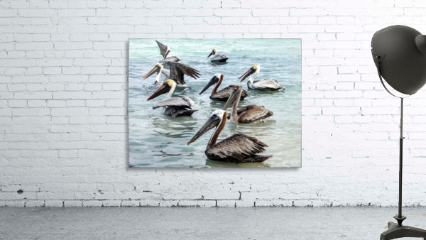 179   Pelicans Wall Preview