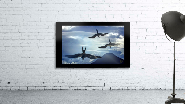 257    Flying High Wall Preview