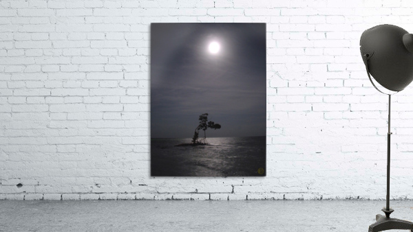 199    Solitude Wall Preview