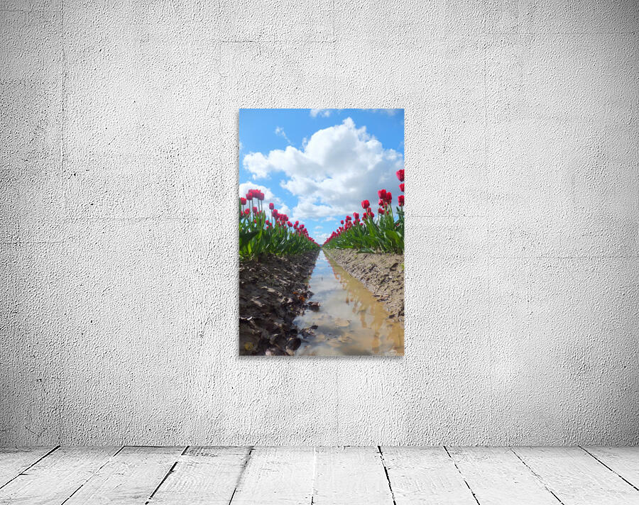 156    Tulip Field Wall Preview