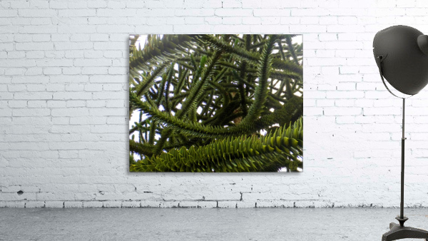 226 Monkey Tree detail Wall Preview