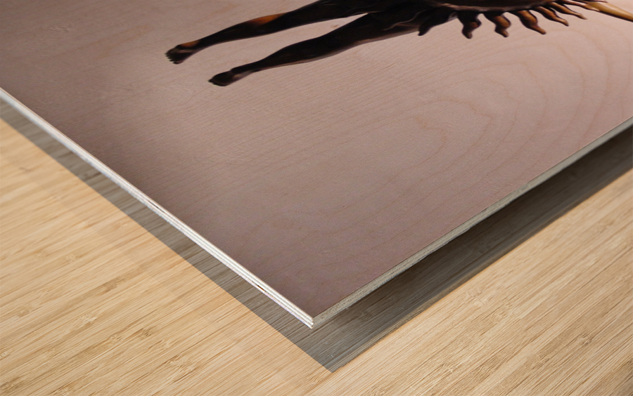 197    Sun - Moon Balancing Act Wood print