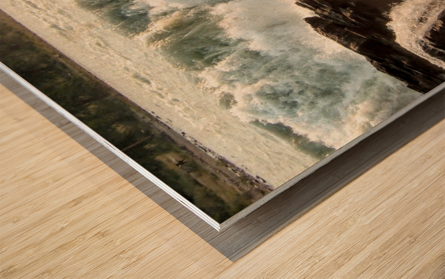213    Water Power Wood print