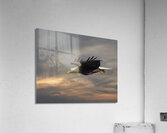 Side by side Acrylic Print