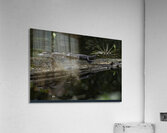 Dynamic Duo 1 Acrylic Print