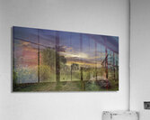 Logan Berry Acrylic Print