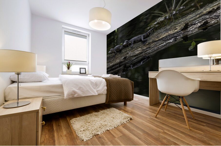 Dynamic Duo 1 Mural print
