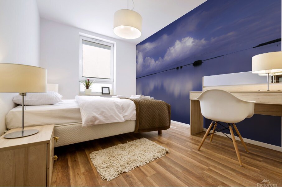 Pine Island Sound  Mural print