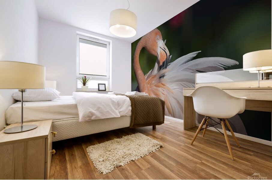Flamboyance Mural print