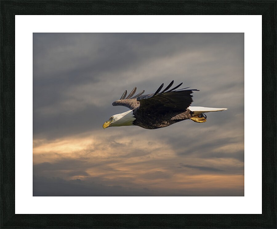 Side by side Picture Frame print