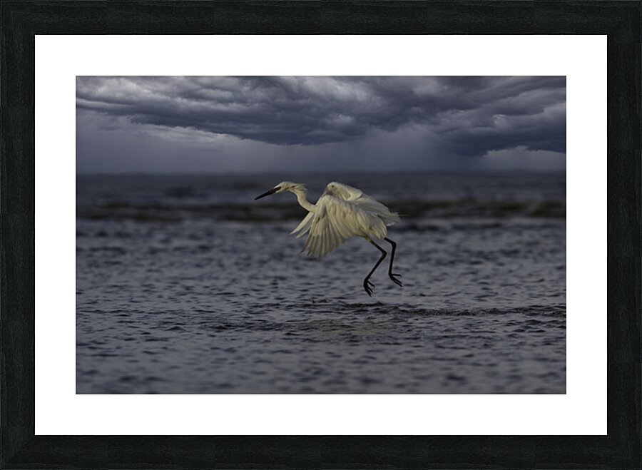 Rain Day Picture Frame print
