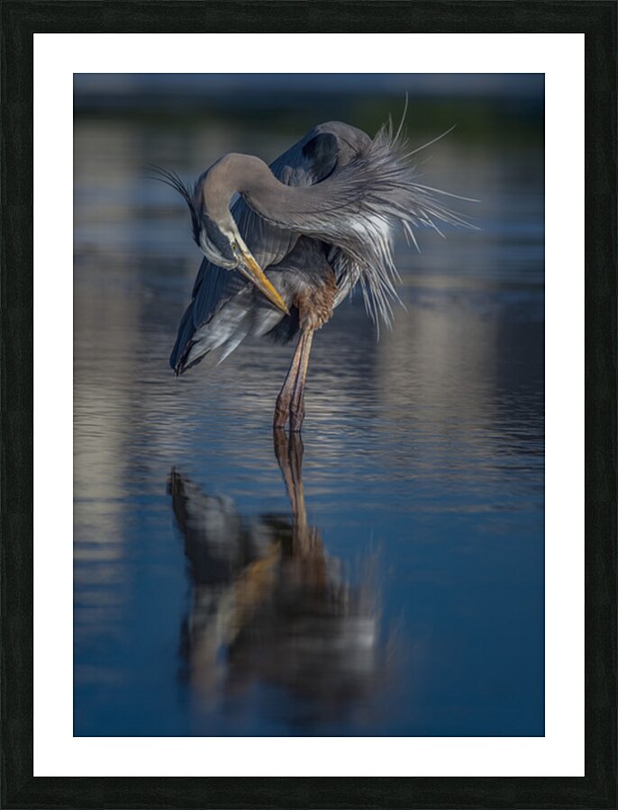 Strike a pose Picture Frame print