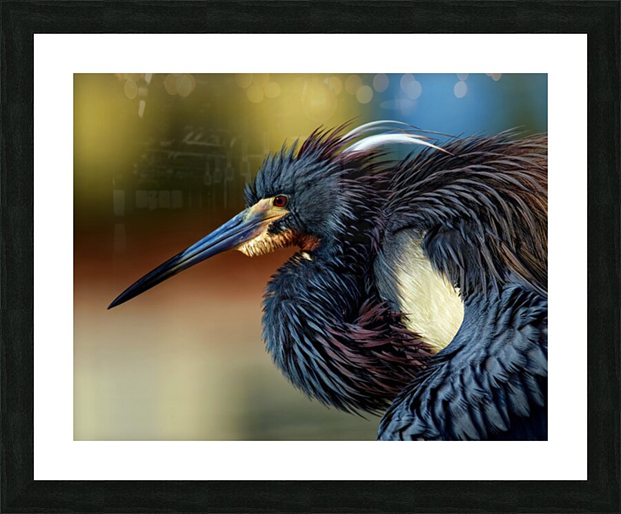 Poised Picture Frame print