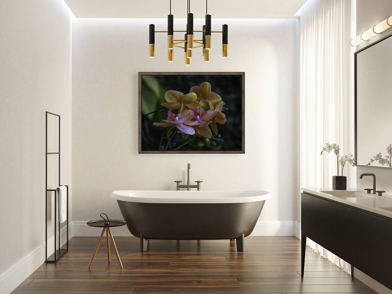 Moth Orchid Reproduction