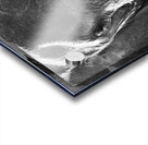 DSC 7276 Acrylic print