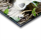 DSC 7014 Acrylic print