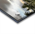 IMG 7229 Acrylic print