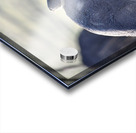 DSC 6682 Acrylic print