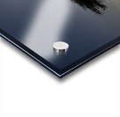 DSC 7211 Acrylic print