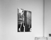 DSC 7276 Acrylic Print