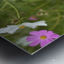 IMG 7088 Metal print