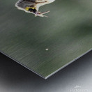 DSC 6658 Metal print