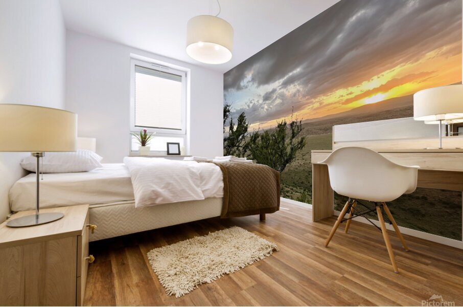 IMG 7229 Mural print